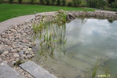 crbst_IMG_1568