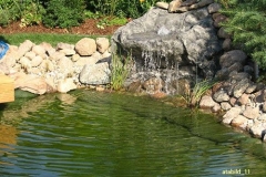 crbst_IMG_2967