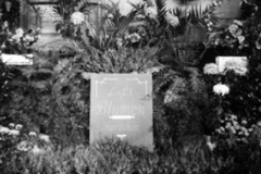 geschichte-21