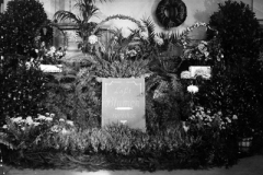 geschichte-3