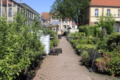 standort_putlitz_01